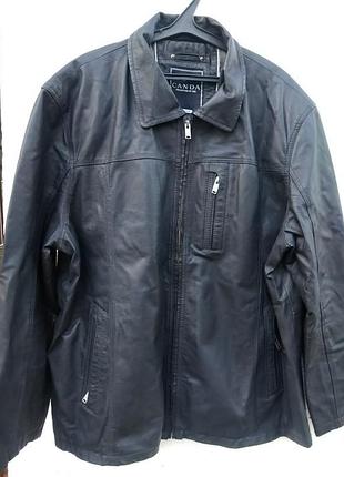 Кожаная куртка canda большой размер, батал