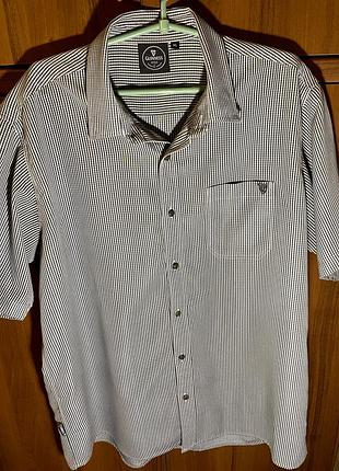 Чоловіча сорочка в клітинку guinness з коротким рукавом