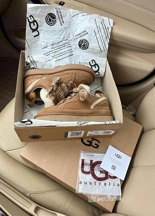 Ugg lowmel sneaker chestnut 4