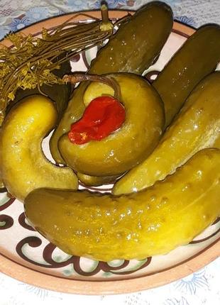 Вкусные квашенные огурцы огурцы