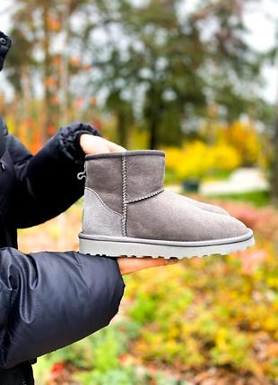 Ugg classic ngrijire grey, жіночі сірі замшеві зимні угги