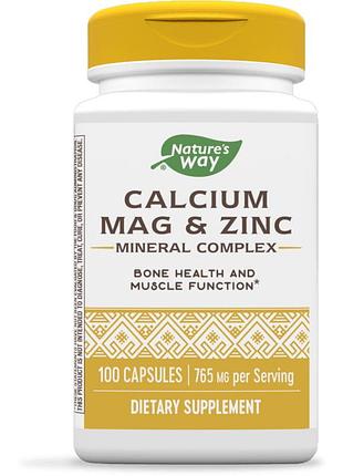 Вітаміни та мінерали nature's way calcium mag & zinc, 100 капсул