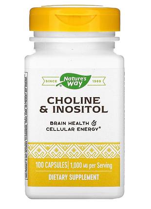 Холін та інозитол nature's way choline & inositol, 100 капсул для підтримки мозкової функції