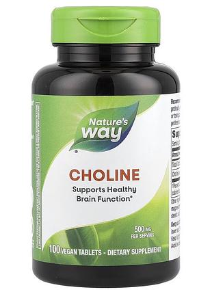 Холін nature's way choline, 100 таблеток для підтримки мозку та пам'яті