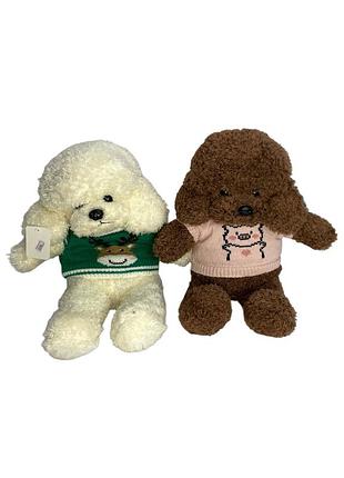 0418 собачка пудель великий