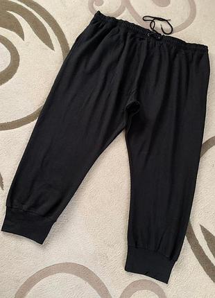 Теплі спортивні штани з начосом