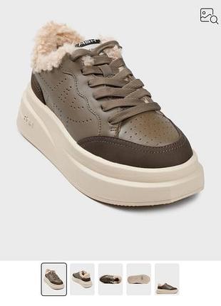 Ash кросівки утепленні