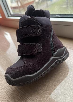 Зимові термо ботинки ecco на дівчинку 20 розмір (1-1,5 роки) натуральний замш, водонепроникаючі.