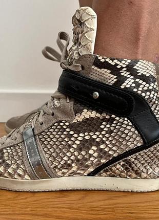 Кроссовки кожа кожаные питон оригинал