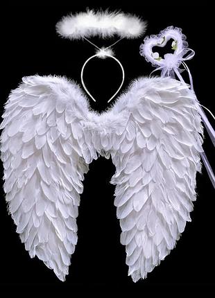 Крила білого ангела німб і паличка