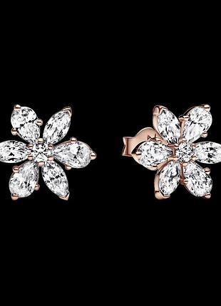 Серебряные серьги "блестящий гербарий" 282407c01