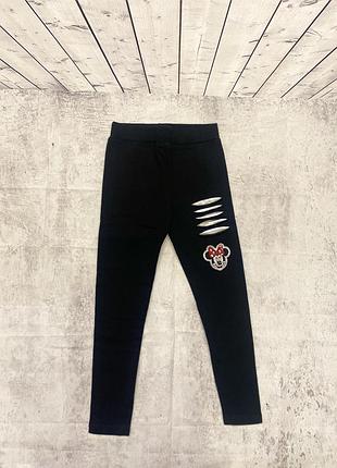 Лосини на байці