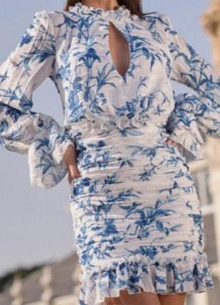Сукня біла з довгими рукавами воланами з блакитними ліліями lipsy платье белое с голубыми лилиями. с длинными рукавами с воланами вырезом на декольте