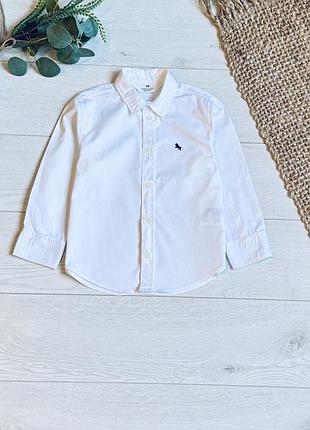 🌱сорочка нм на 3/4 р ціна -150 г