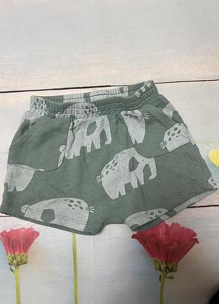 Шорты 12-18 мес