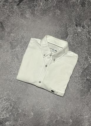 Сорочка lacoste оригінал