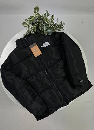 Пуховик the north face