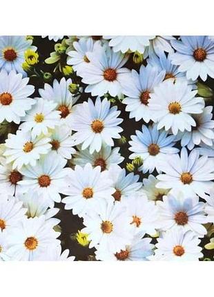 Термосерветка 2-х сторонняя 0,98*0,58м #17 пластик ромашки/цветы на сером тм bona domus