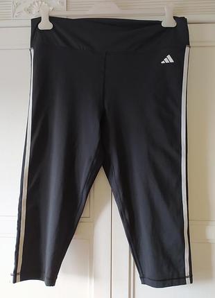 Шорты велосипедки бриджи