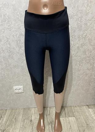 Лосіни спорт