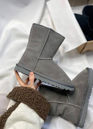 Ugg classic short light gray