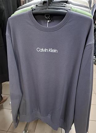 Чоловічий світшот сірого кольору