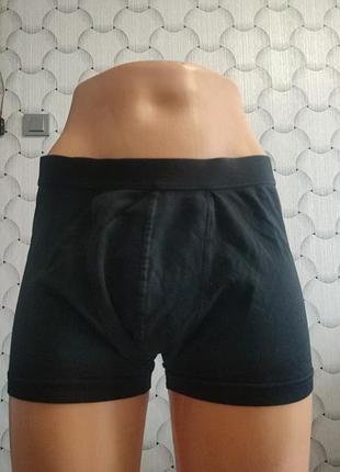 Ьрусы боксеры