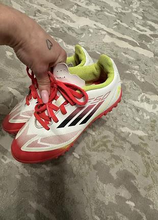 Сороконіжки дитячі