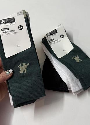 Набір чоловічих шкарпеток polo