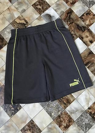 Шорти сірі на 6-8років