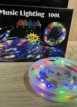 Гірлянда музична з динаміком usb 10 м