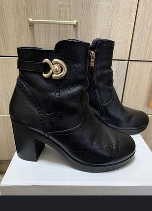 Взуття жіноче черевики