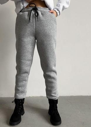 Утеплені жіночі штани на невисокий зріст 42-48 р.