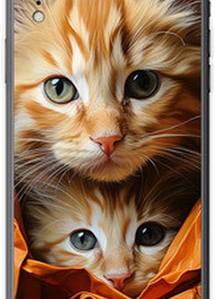 Чехол на iphone xr котики 2 "5664sp-1560-73076"