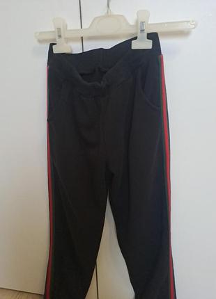 Спортивні штани