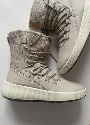 Зимові черевики ecco