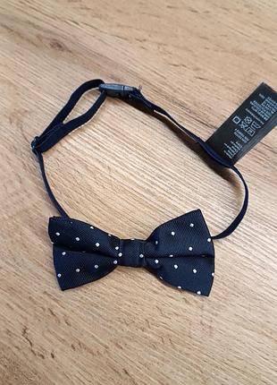 Галстук бабочка