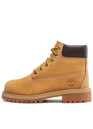 Черевики timberland