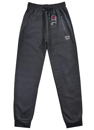 Штани спортивні утеплені чоловічі під манжет 56/58