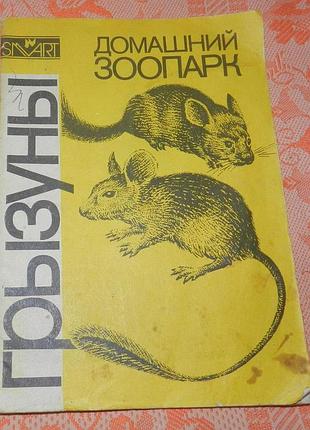 Домашний зоопарк. грызуны