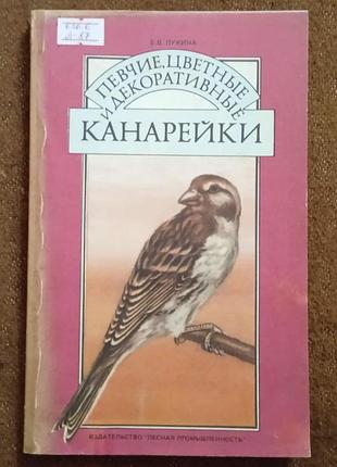 Певчие, цветные и декоративные канарейки