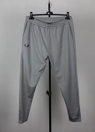 Castore мужские брюки хл спортивные