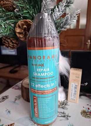 Шампунь для відновлення panorama
