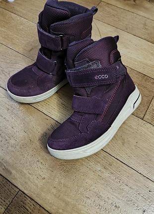 Ботинки термоботинки сапожки для девочки ecco 31 ботинки взятия зимнее