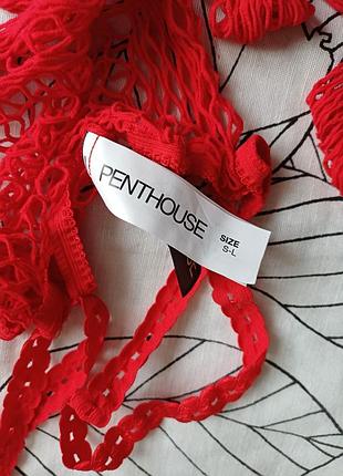 Penthouse білизна 4