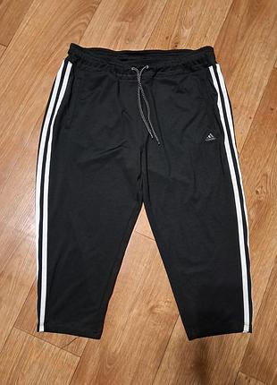 Спорт бриджи