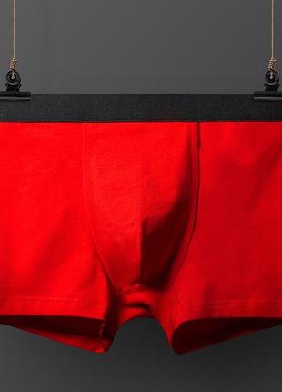Чоловічі труси червоні боксери dark duck