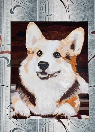 Картина по номерах “коргі”, ручний розпис, декор для дому,розмальована