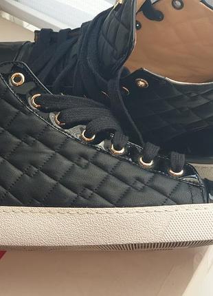 Высокие кеды hogl