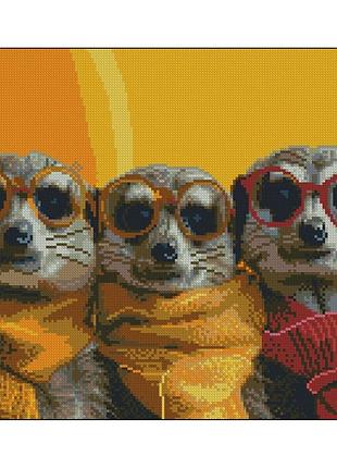 Алмазна мозаїка "весела команда" zav4050-16 без підрамника 40х50 см